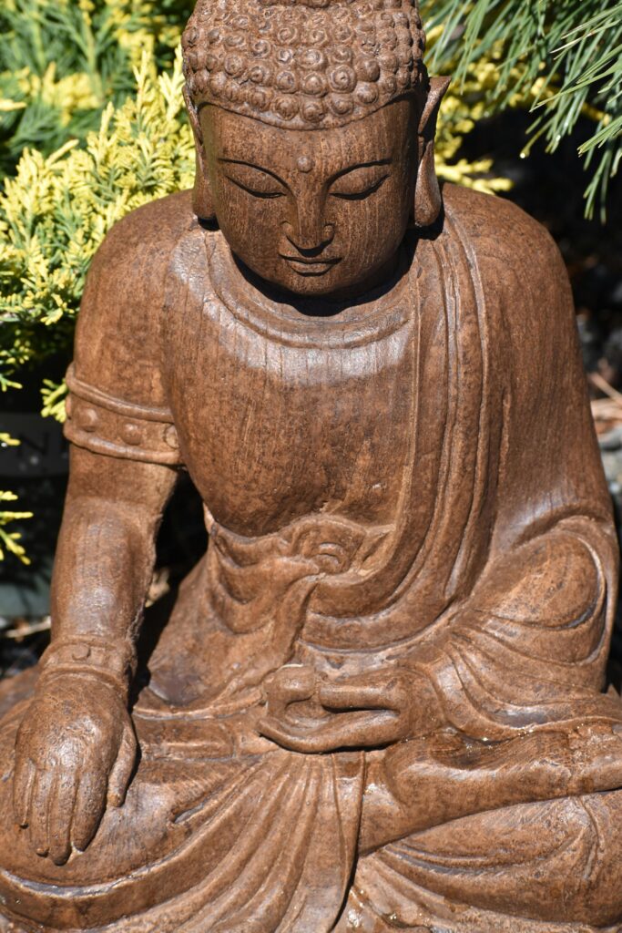 meditazione buddista